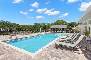 3310 Haviland Ct, Palm Harbor, FL 34684 - Photo 42