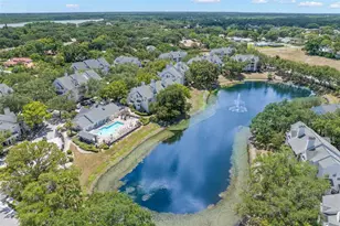 3310 Haviland Ct, Palm Harbor, FL 34684 - Photo 30