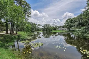 10497 Longwood Dr, Seminole, FL 33777 - Photo 48