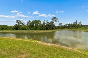 3883 Capri Coast Dr, Plant City, FL 33565 - Photo 48