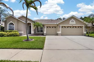 7221 Bucks Ford Dr, Riverview, FL 33578 - Photo 2