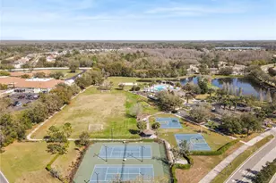 6053 Everlasting Pl, Land O Lakes, FL 34639 - Photo 70