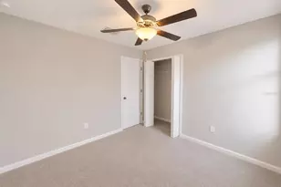 16717 Delia St, Wimauma, FL 33598 - Photo 16