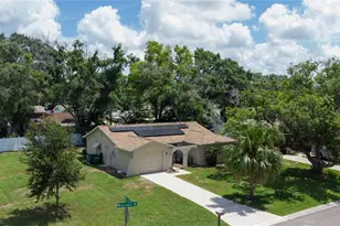 160 Meadowlark Dr, Safety Harbor, FL 34695 - Photo 46