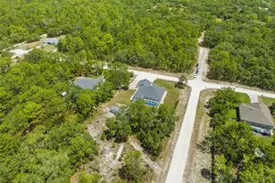 11020 Sage Thrasher Ave, Weeki Wachee, FL 34614 - Photo 62