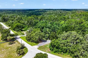 4243 Nancy Creek Blvd, Brooksville, FL 34602 - Photo 86