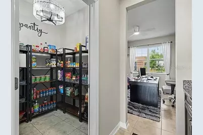 3117 King Fern Drive, Wimauma, FL 33598 - Photo 62
