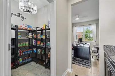 3117 King Fern Drive, Wimauma, FL 33598 - Photo 52