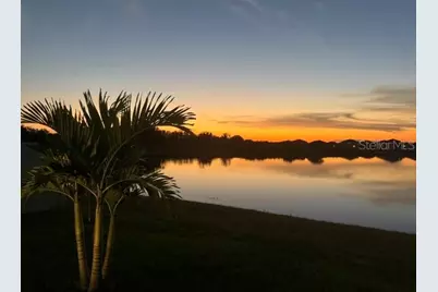 3117 King Fern Drive, Wimauma, FL 33598 - Photo 28