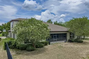 5904 Shell Ridge Dr, Lithia, FL 33547 - Photo 82