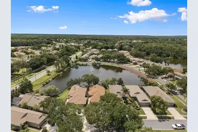 1469 Riverdale Drive, Oldsmar, FL 34677 - Photo 48