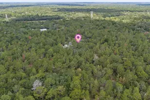 15624 Peace Blvd, Spring Hill, FL 34610 - Photo 56