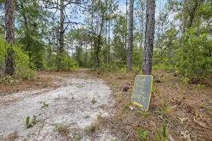 15624 Peace Blvd, Spring Hill, FL 34610 - Photo 40