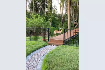 21430 Draycott Way, Land O Lakes, FL 34637 - Photo 14