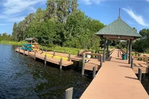 21430 Draycott Way, Land O Lakes, FL 34637 - Photo 82
