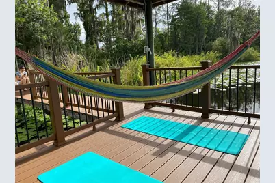 21430 Draycott Way, Land O Lakes, FL 34637 - Photo 6