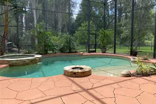 21430 Draycott Way, Land O Lakes, FL 34637 - Photo 10