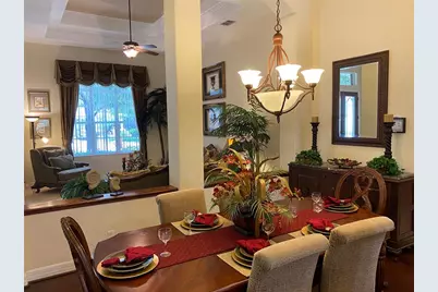 21430 Draycott Way, Land O Lakes, FL 34637 - Photo 38