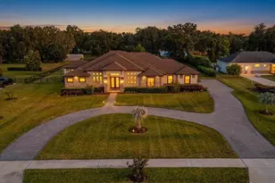 218 Hawk Talon Drive, Lithia, FL 33547 - Photo 62