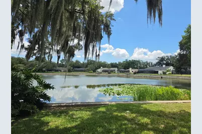 1711 Magdalene Manor Drive, Tampa, FL 33613 - Photo 10