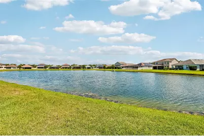 17628 Bright Wheat Drive, Lithia, FL 33547 - Photo 46