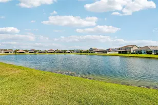17628 Bright Wheat Dr, Lithia, FL 33547 - Photo 46