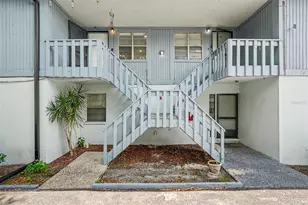 9208 N Connechusett Rd, Tampa, FL 33617 - Photo 4