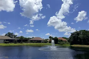1422 Aristides Ct, Odessa, FL 33556 - Photo 72