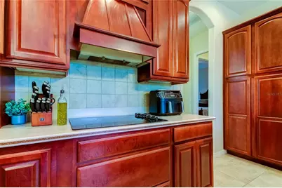 1422 Aristides Court, Odessa, FL 33556 - Photo 24