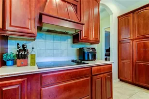 1422 Aristides Ct, Odessa, FL 33556 - Photo 24