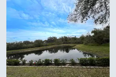18111 Sugar Brooke Drive, Tampa, FL 33647 - Photo 40