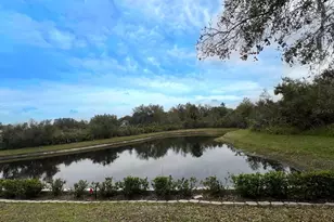 18111 Sugar Brooke Dr, Tampa, FL 33647 - Photo 40