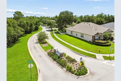 7308 Ambleside Drive, Land O Lakes, FL 34637 - Photo 50