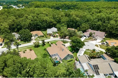 3480 Tanglewood Trail, Palm Harbor, FL 34685 - Photo 64