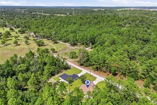 16325 Force Rd, Brooksville, FL 34614 - Photo 46