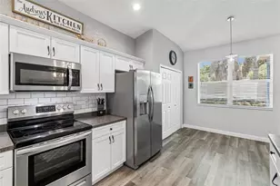 11318 Bridge Pine Dr, Riverview, FL 33569 - Photo 10