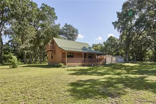 29953 Briarthorn Loop, Wesley Chapel, FL 33545 - Photo 6