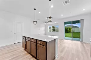 9883 Hickory Pnes Ave, Riverview, FL 33578 - Photo 4