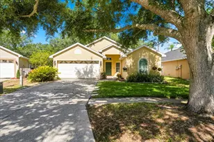 4532 Wild Plum Ln, Lutz, FL 33558 - Photo 1