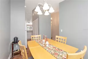 3909 Carroll Cypress Ct, Tampa, FL 33614 - Photo 14