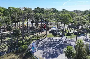 1460 Ribolla Dr, Palm Harbor, FL 34683 - Photo 44