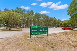 12665 Lacey Dr, New Port Richey, FL 34654 - Photo 54