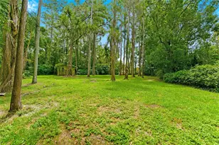 1444 Chesapeake Dr, Odessa, FL 33556 - Photo 6