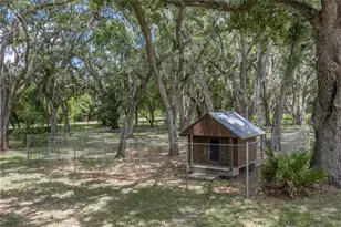 13031 Bellamy Brothers Blvd, Dade City, FL 33525 - Photo 56