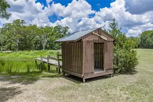 13031 Bellamy Brothers Blvd, Dade City, FL 33525 - Photo 60