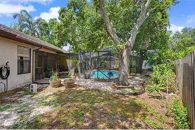 2773 Jeffrey Drive, Palm Harbor, FL 34684 - Photo 48