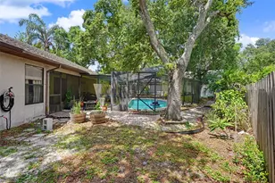 2773 Jeffrey Dr, Palm Harbor, FL 34684 - Photo 48