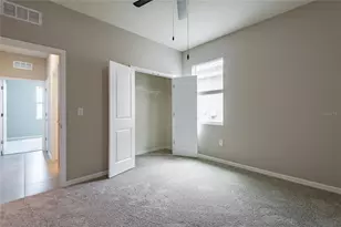 31420 Tansy Bnd, Wesley Chapel, FL 33545 - Photo 50