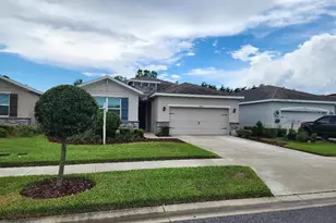 31420 Tansy Bnd, Wesley Chapel, FL 33545 - Photo 1