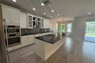 4557 Vermillion Sky Dr, Wesley Chapel, FL 33544 - Photo 6